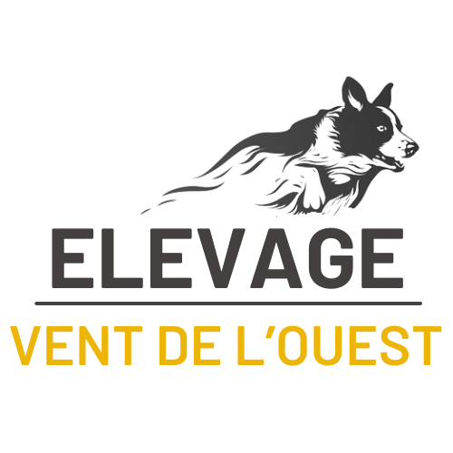 Elevage du Vent de l'Ouest